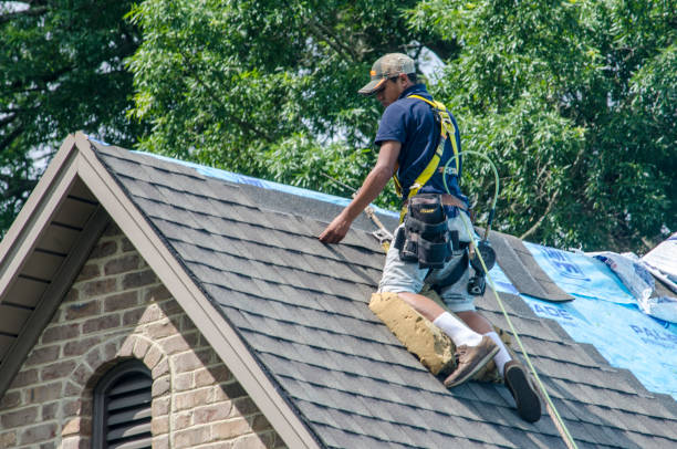 Best New Roof Installation  in Concord, AL